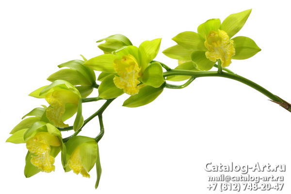 Натяжные потолки с фотопечатью - Желтые и бежевые орхидеи 3